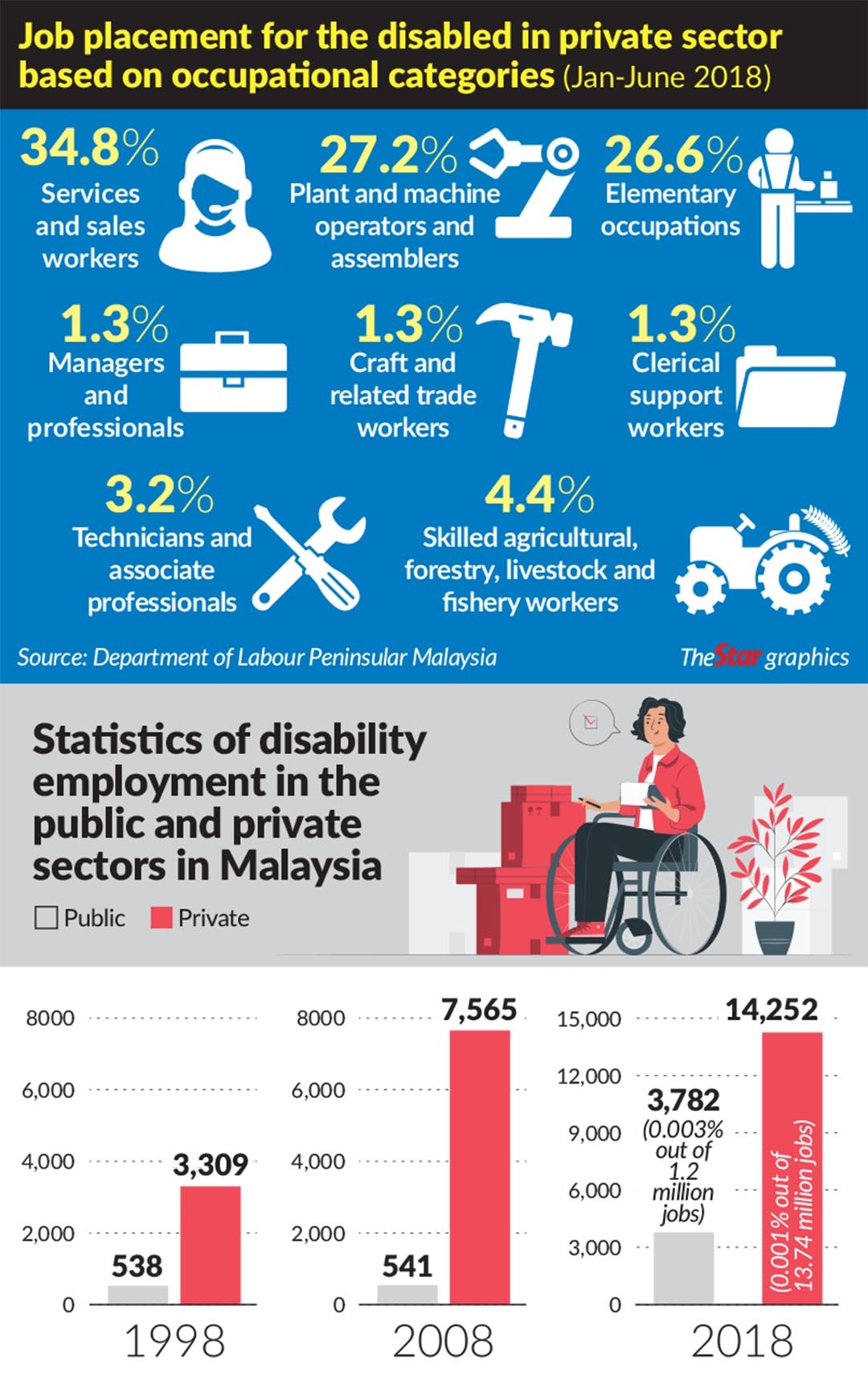 NGOs Give disabled chance to lead full life The Star